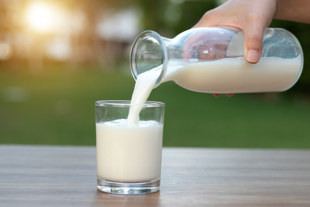 grass-fed lifestyle breastfeeding snacks milk